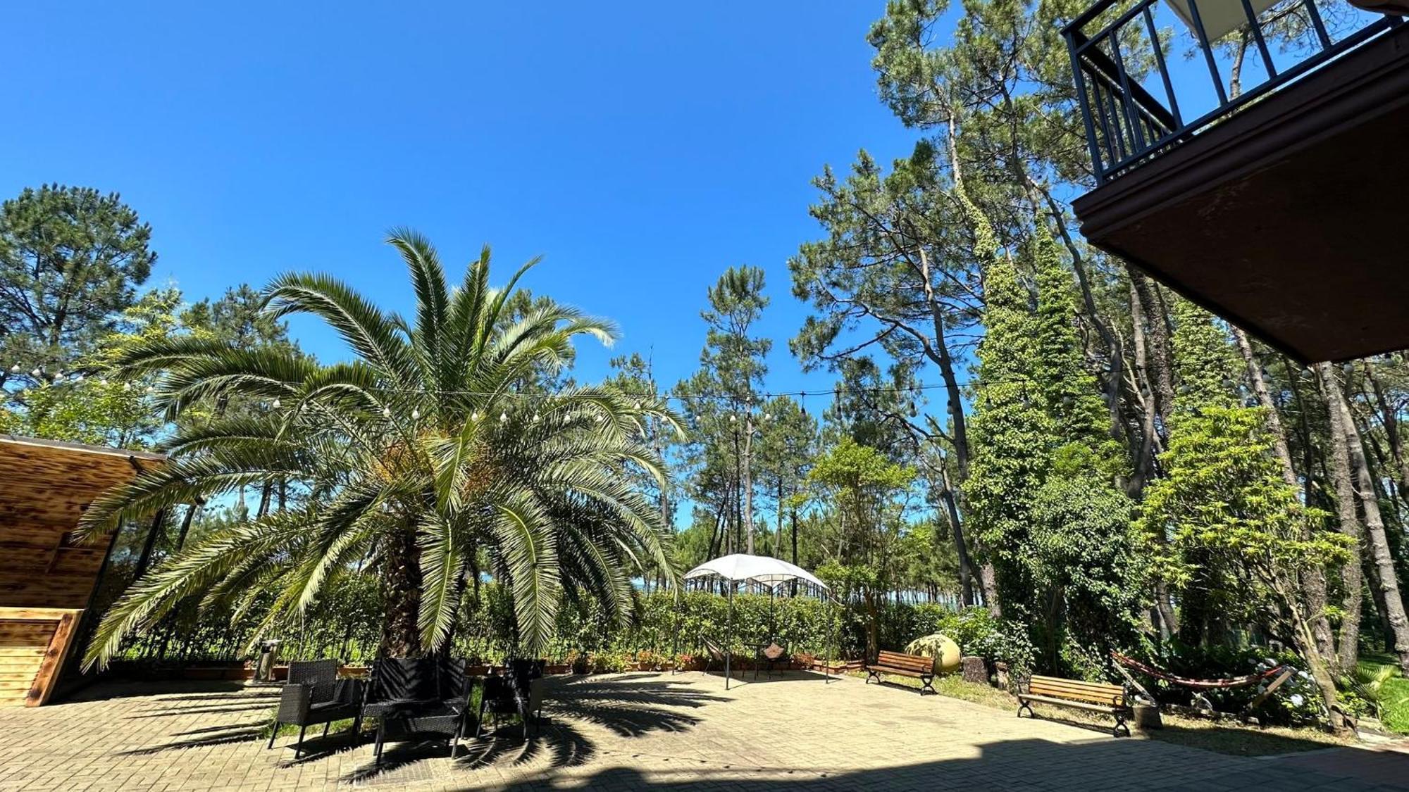 שקווטילי Iveria Elli Hotel מראה חיצוני תמונה