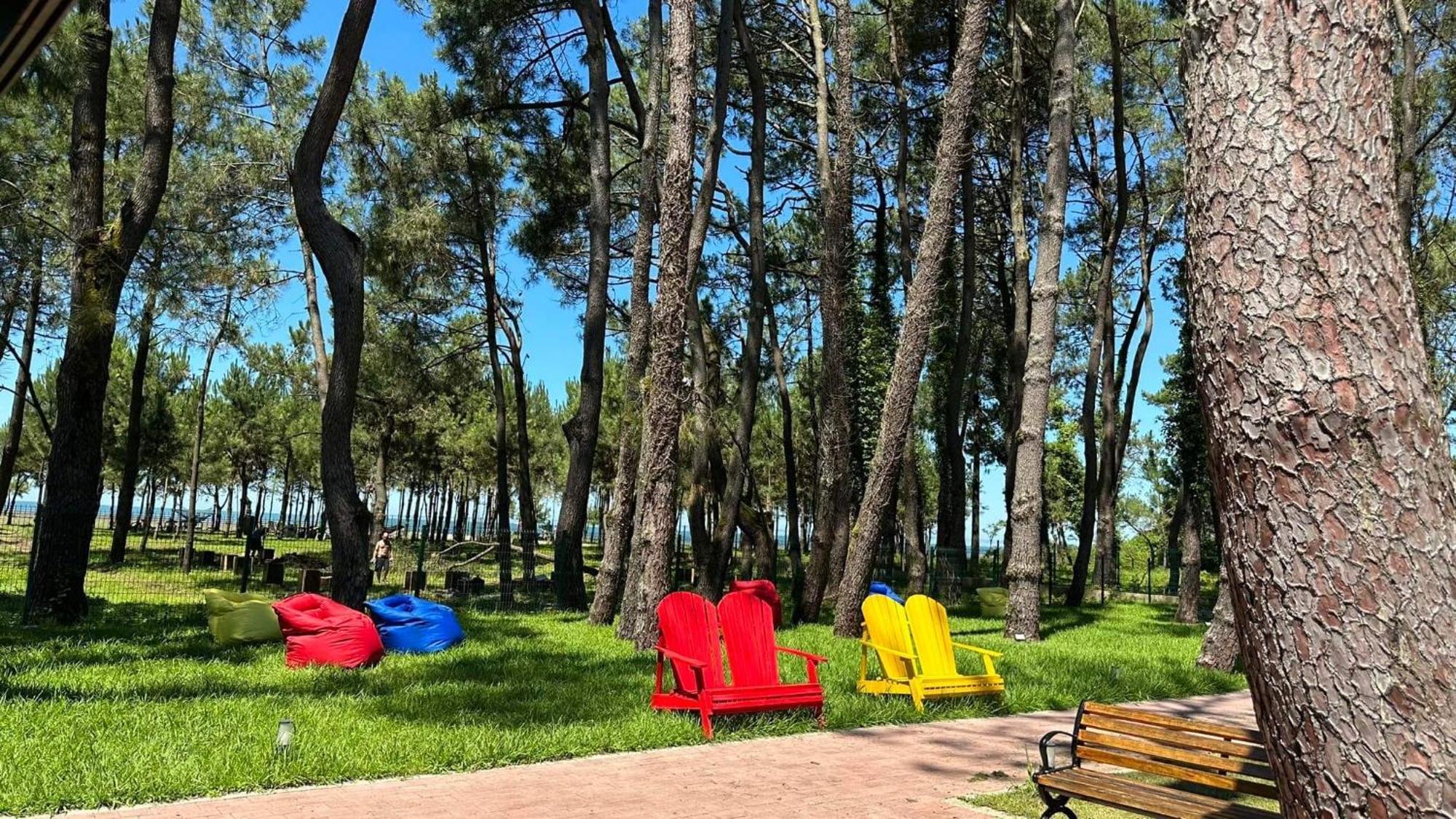 שקווטילי Iveria Elli Hotel מראה חיצוני תמונה