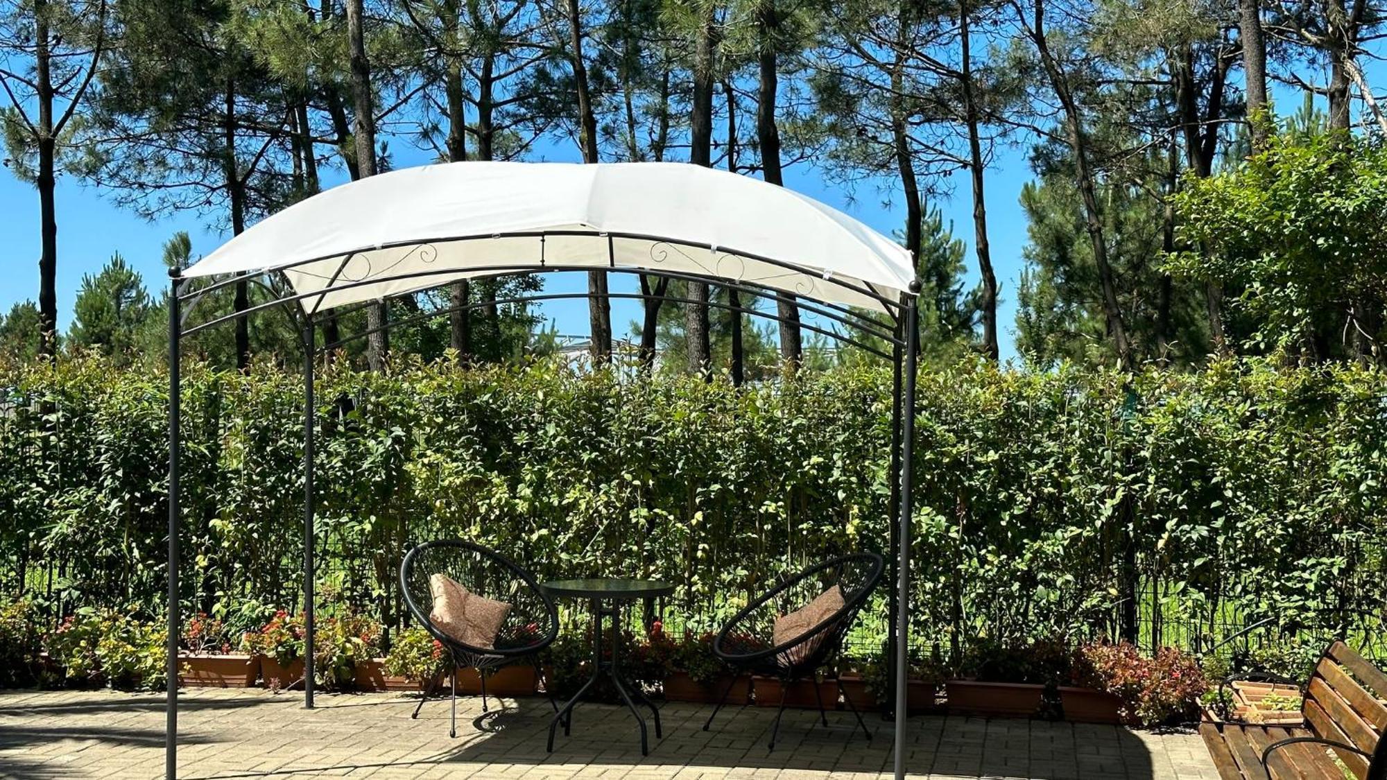 שקווטילי Iveria Elli Hotel מראה חיצוני תמונה